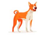 dibujo basenji