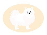 dibujo pomerania blanco